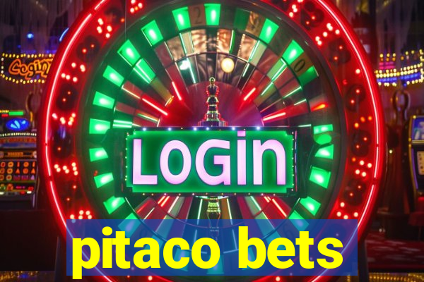 pitaco bets